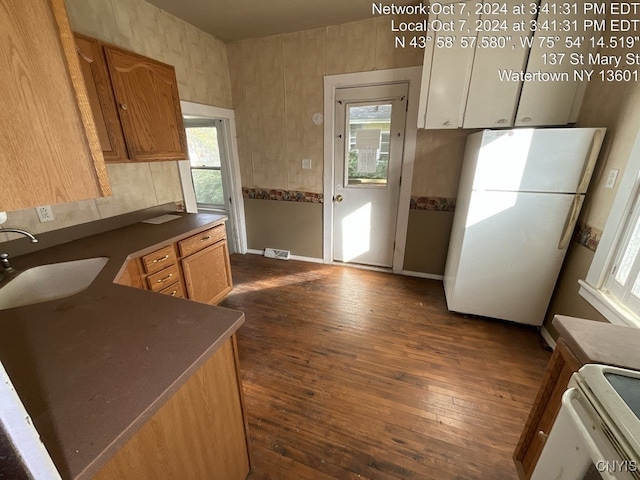 kitchen with white refrigerator, plenty of natural light, dark wood-type flooring, and sink