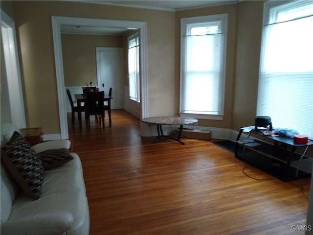 living room with crown molding, plenty of natural light, and wood-type flooring