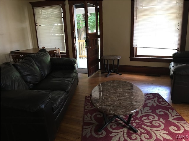 living room with wood-type flooring