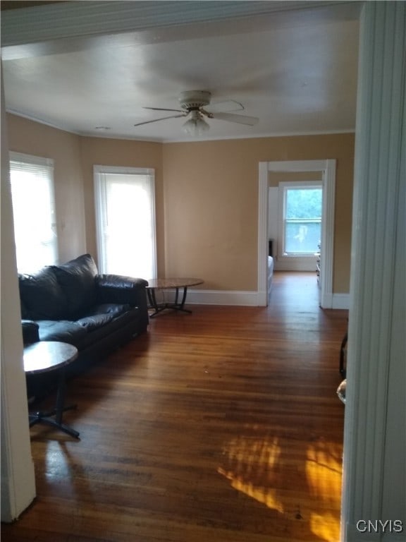 living room featuring ceiling fan, crown molding, dark hardwood / wood-style flooring, and a healthy amount of sunlight