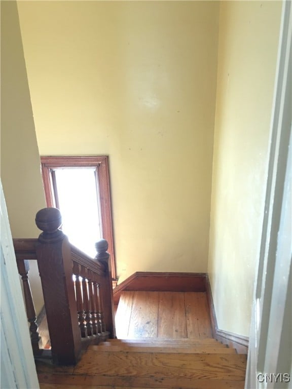 stairway featuring hardwood / wood-style flooring