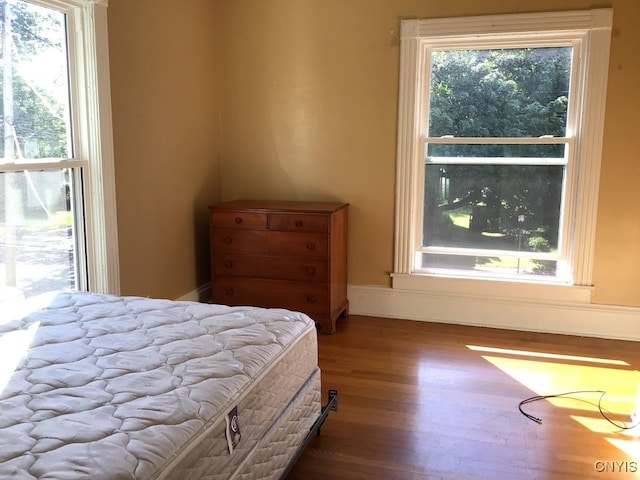 bedroom featuring wood-type flooring and multiple windows