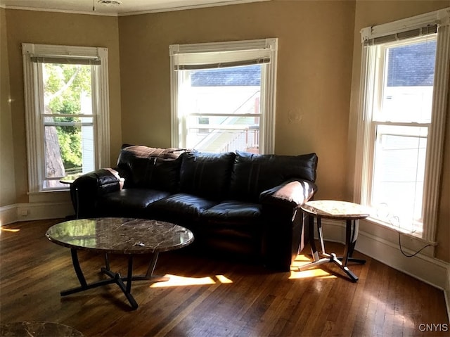 living room featuring dark wood-type flooring, ornamental molding, and a healthy amount of sunlight