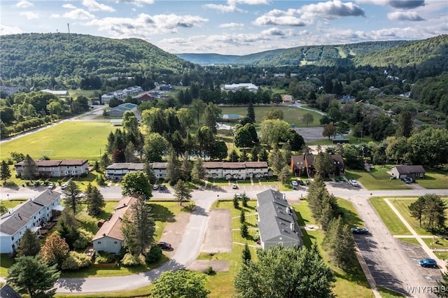 birds eye view of property with a mountain view