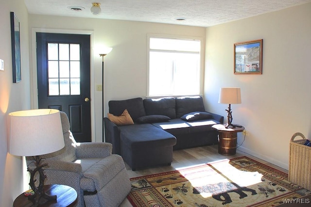 living room with hardwood / wood-style flooring and a textured ceiling