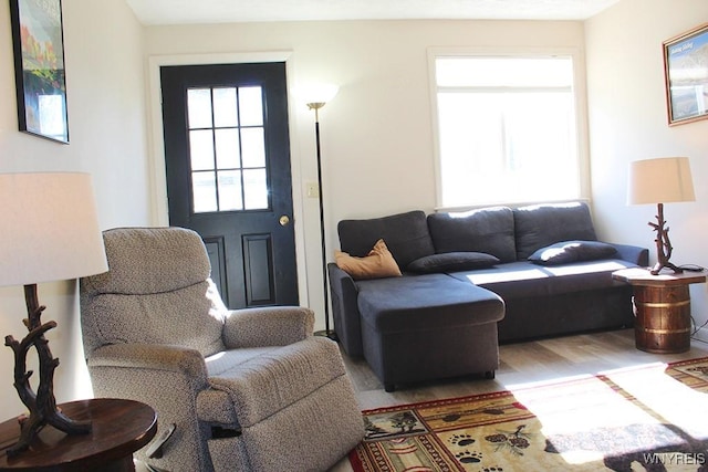 living room with wood-type flooring