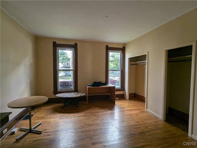 sitting room featuring wood-type flooring and a wealth of natural light