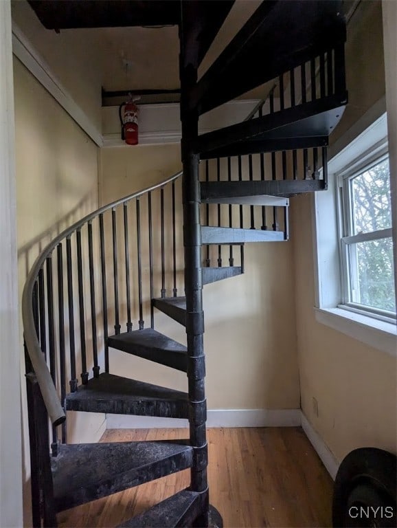 stairs featuring wood-type flooring