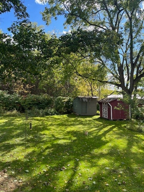 view of yard with a shed