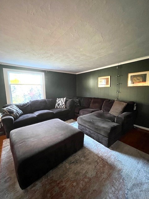 living room featuring crown molding and a textured ceiling