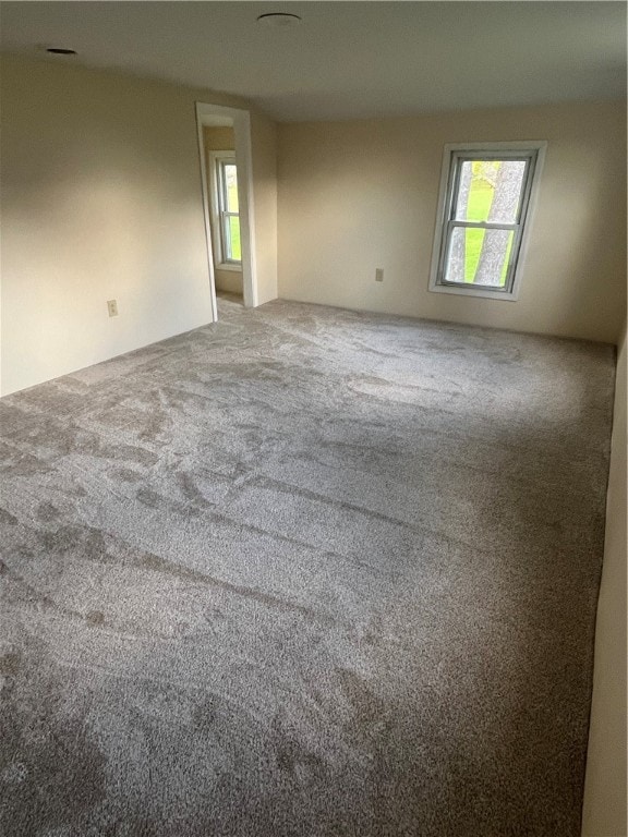 spare room with carpet flooring