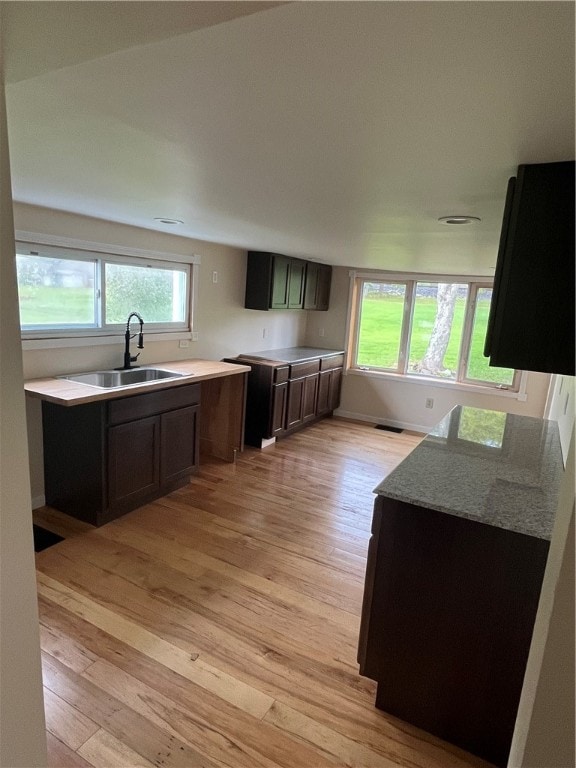 kitchen featuring dark brown cabinetry, light hardwood / wood-style floors, sink, and a wealth of natural light