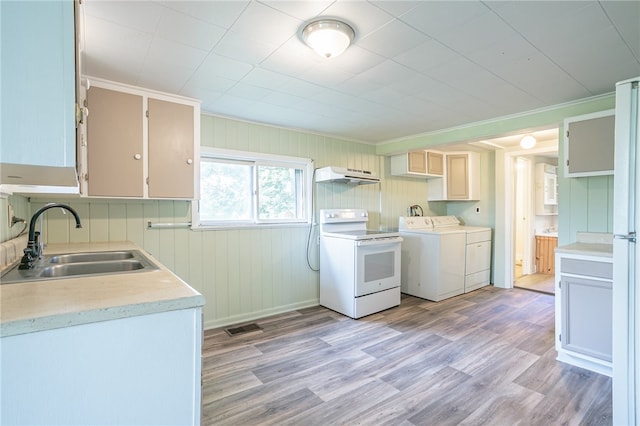 clothes washing area featuring ornamental molding, light wood-type flooring, separate washer and dryer, and sink