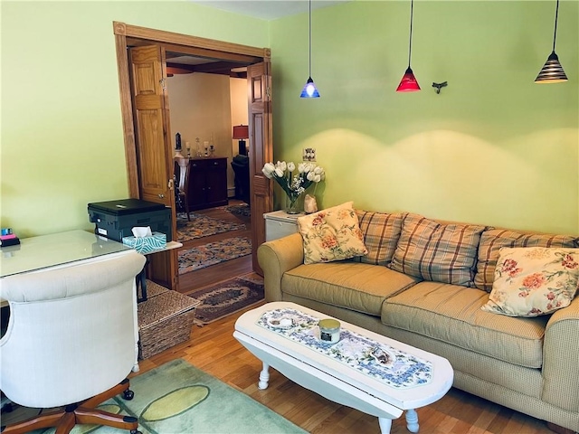 living room featuring wood-type flooring