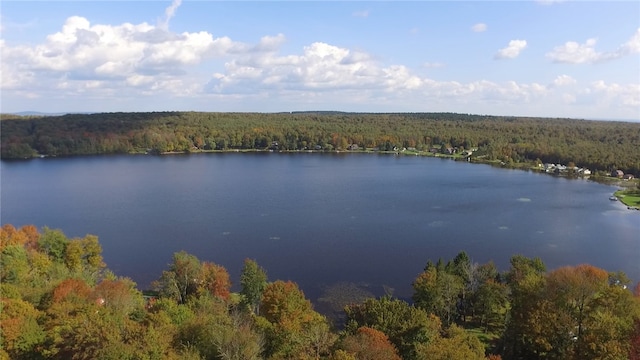 water view featuring a wooded view