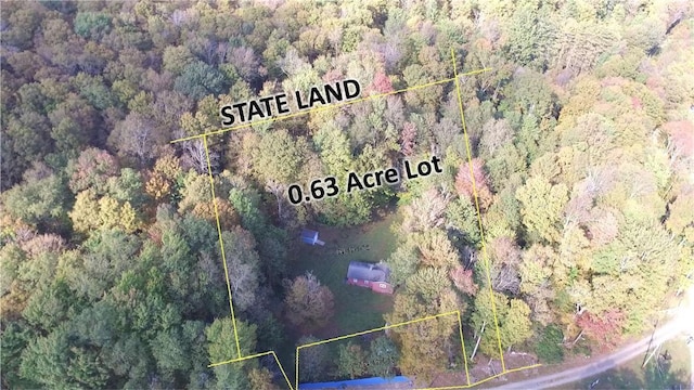 aerial view with a wooded view