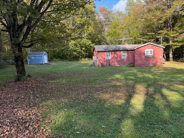 view of yard featuring a shed