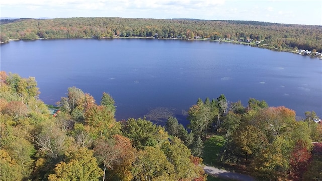 property view of water