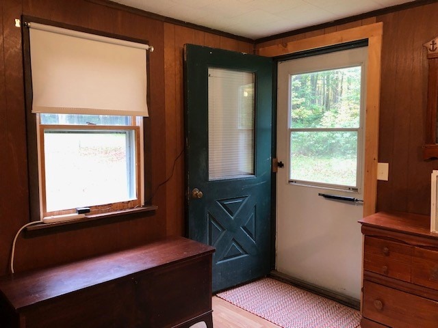 doorway featuring a healthy amount of sunlight, wood walls, and light hardwood / wood-style flooring