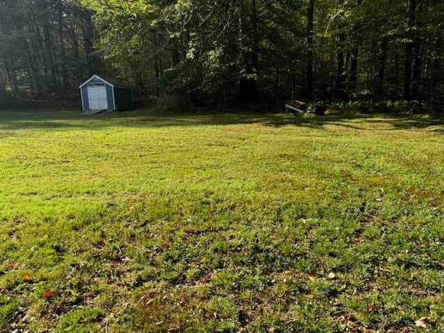 view of yard featuring a storage shed