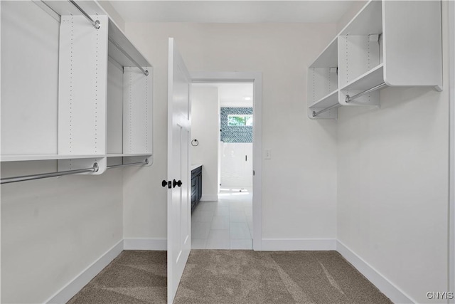 LOT58 Chillingham Way, Lysander, NY 13027 - walk in closet featuring carpet flooring