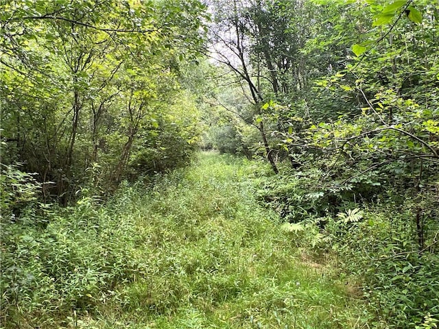 2853 Hartland Rd, Hartland, NY 14067