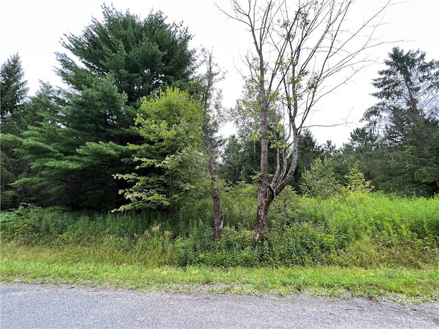 Listing photo 2 for 00 Level Green Rd, Caroline NY 13736