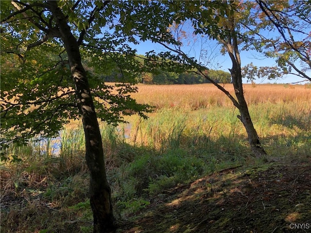 15113 W Creek Rd, Sterling, NY 13156