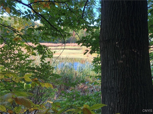 15113 W Creek Rd, Sterling, NY 13156