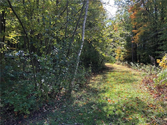 15113 W Creek Rd, Sterling, NY 13156