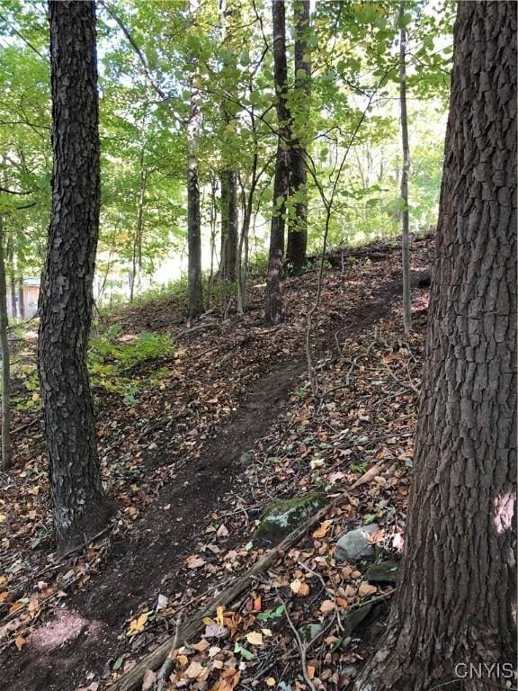 15113 W Creek Rd, Sterling, NY 13156