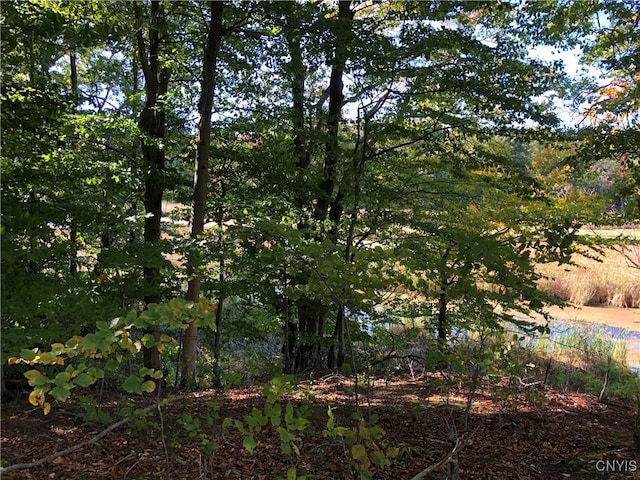 15113 W Creek Rd, Sterling, NY 13156