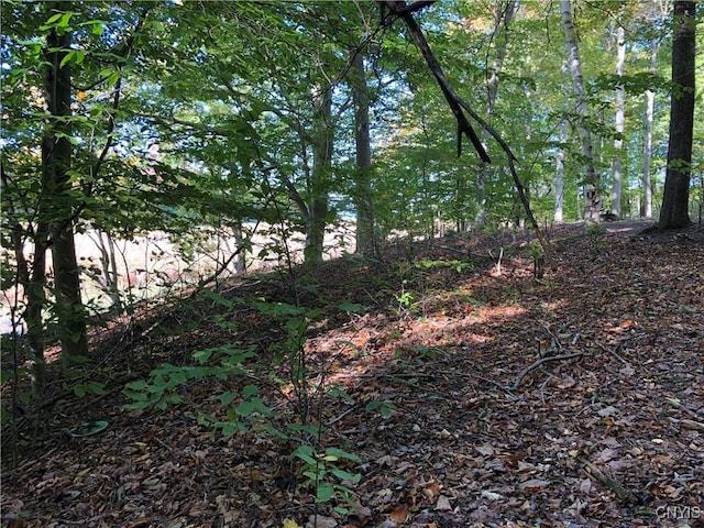15113 W Creek Rd, Sterling, NY 13156