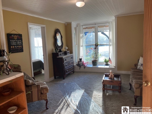 sitting room with ornamental molding, a textured ceiling, and carpet flooring