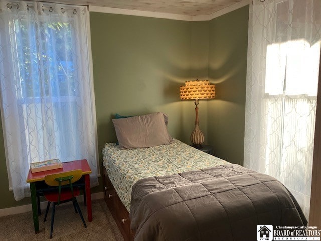 bedroom with carpet flooring