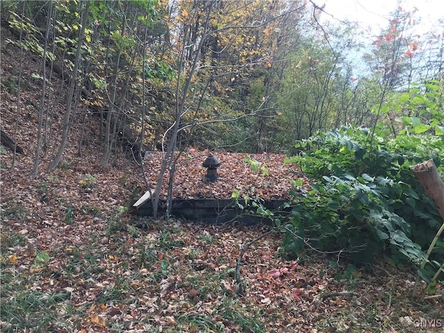 6179 State Highway 29a, Stratford, NY 13329 - view of undeveloped land