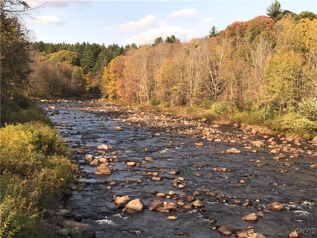 6179 State Highway 29a, Stratford, NY 13329 - water view with a heavily wooded area