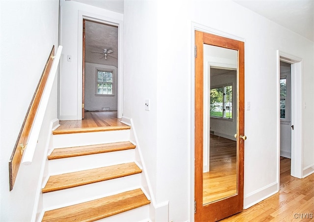 stairway featuring wood-type flooring, plenty of natural light, and ceiling fan