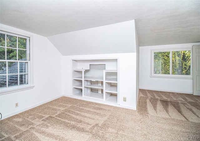 additional living space with vaulted ceiling, carpet flooring, and a textured ceiling