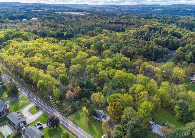 bird's eye view