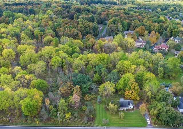 bird's eye view