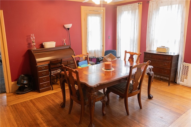 dining room featuring light hardwood / wood-style floors and ceiling fan