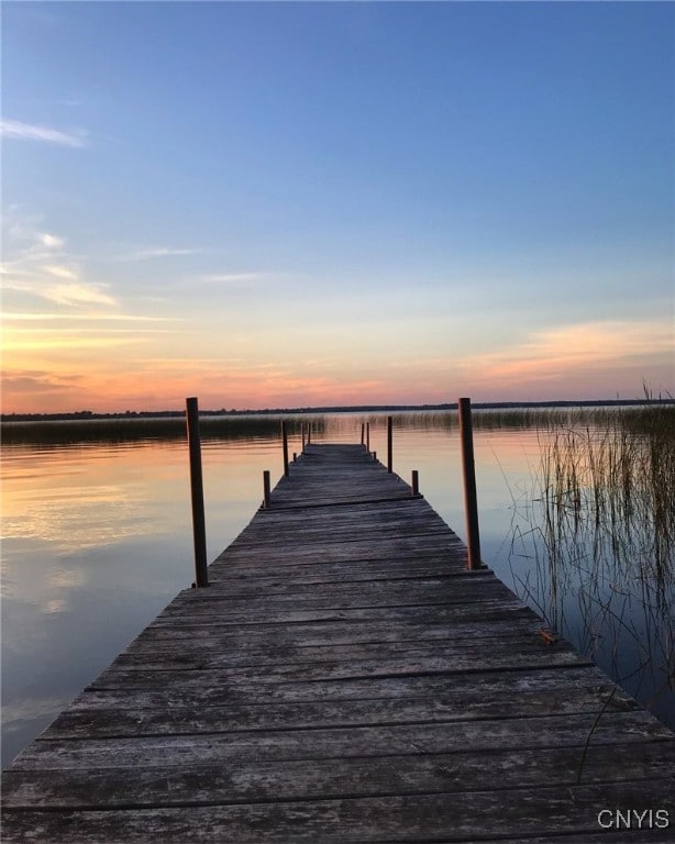 dock area with a water view