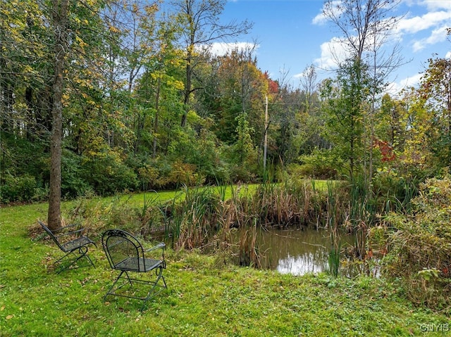 view of yard featuring a water view