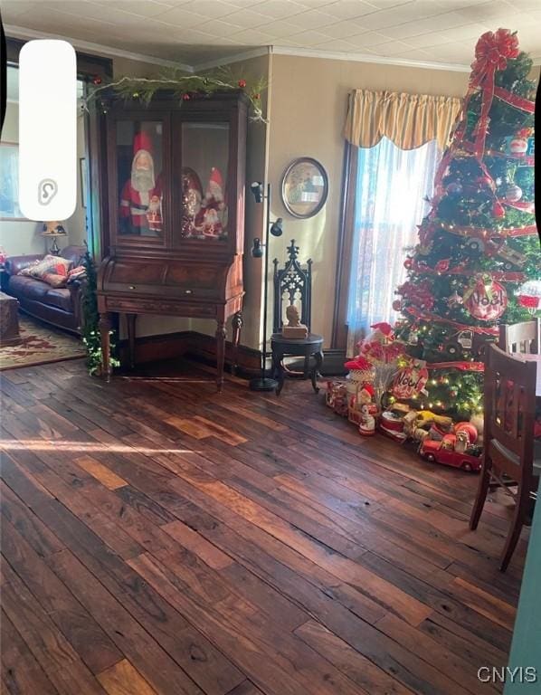 interior space featuring dark hardwood / wood-style flooring and crown molding