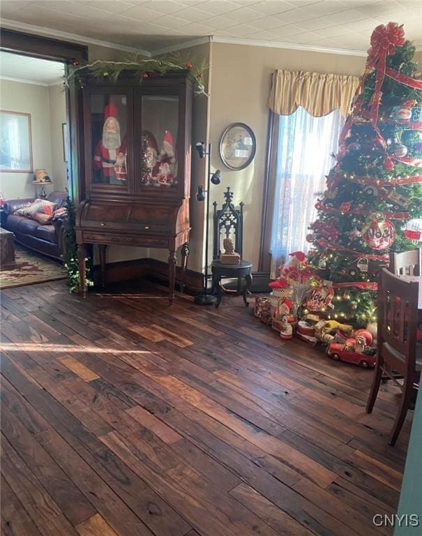 interior space featuring ornamental molding and hardwood / wood-style floors