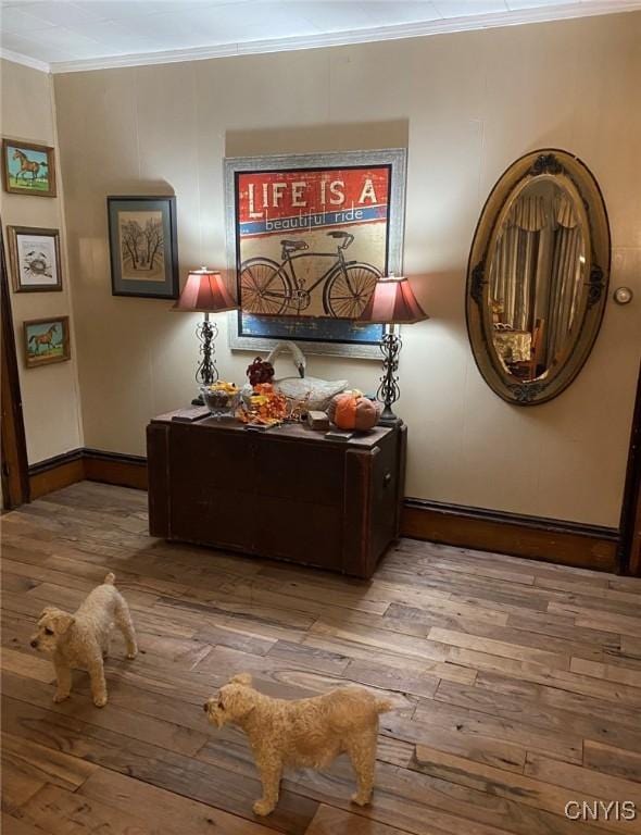 hall with light wood finished floors and ornamental molding