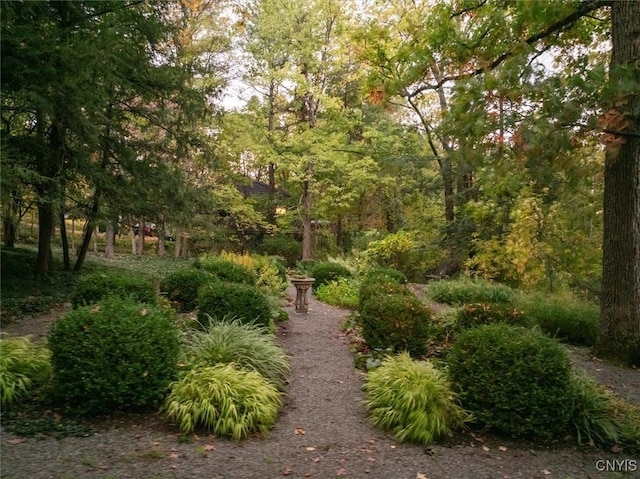 view of property's community