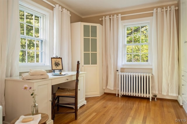 doorway with radiator heating unit, a healthy amount of sunlight, and light wood-type flooring