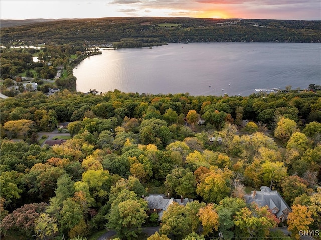 aerial view at dusk featuring a water view